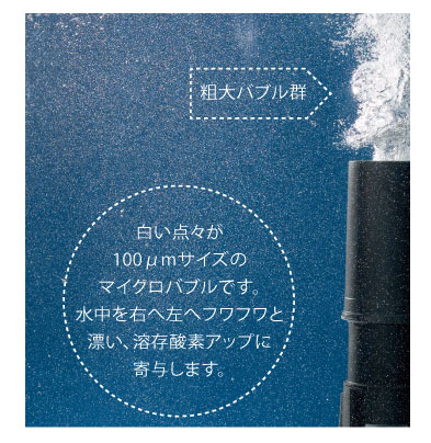 マイクロバブル写真