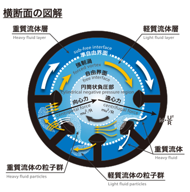 横断面の図解