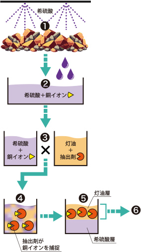 プロセス図解